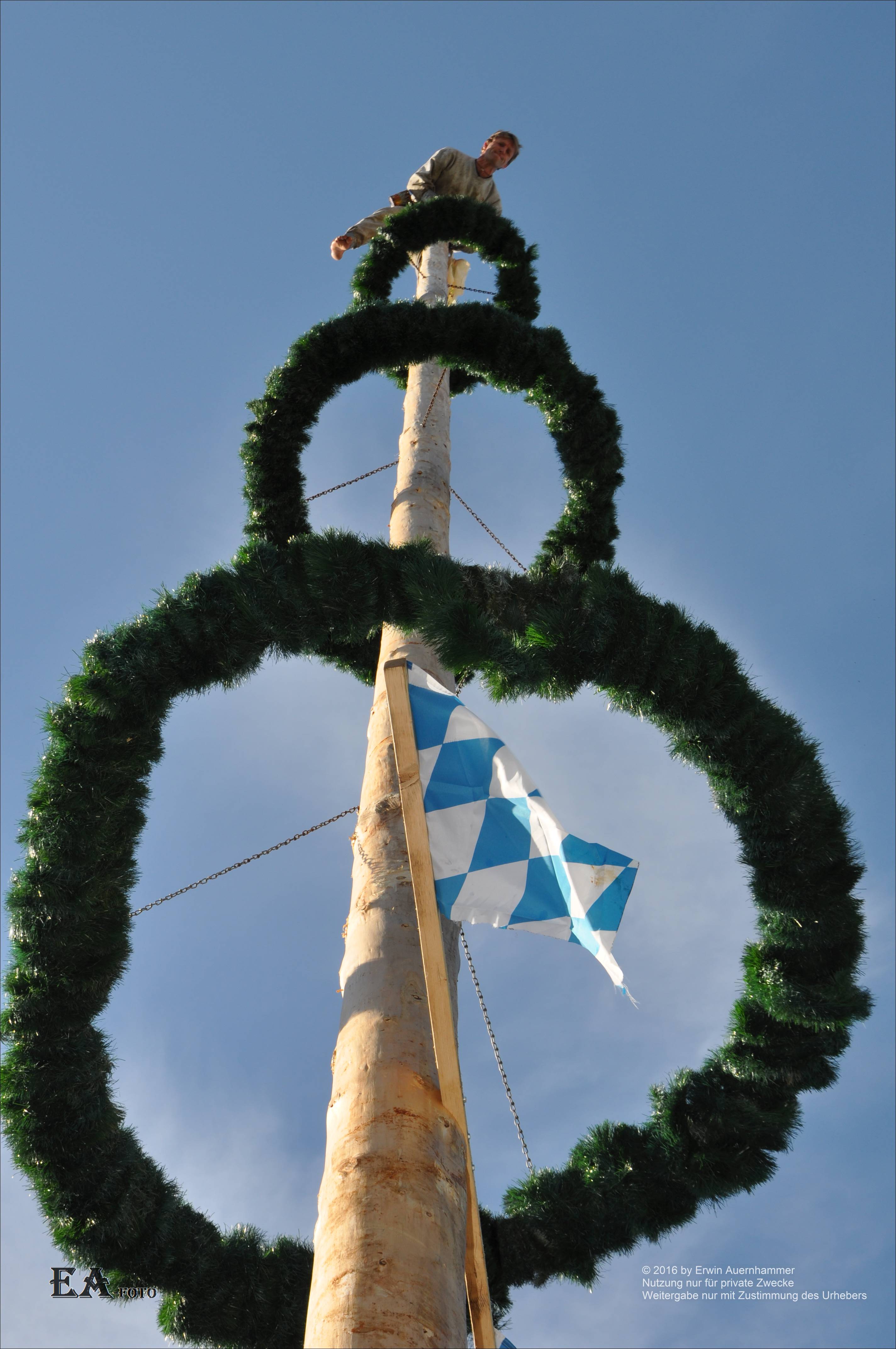 140510 Maibaum 30